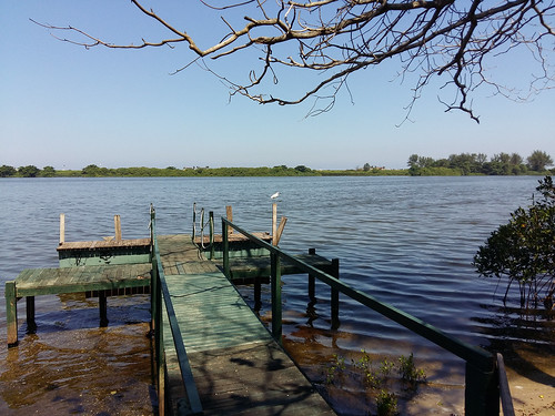 lagoa marapendi rio de janeiro ponte barcos pier plantas mar