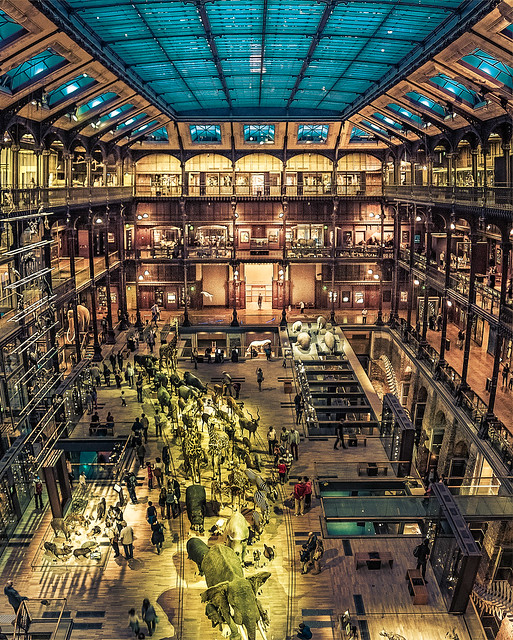 Paris, Muséum national d'Histoire naturelle