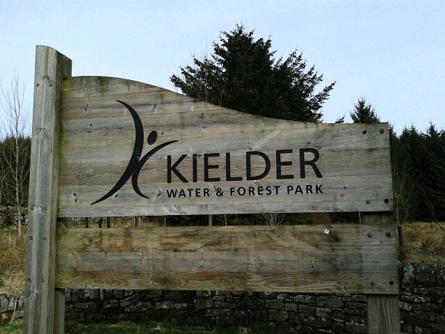 Welcome to Kielder