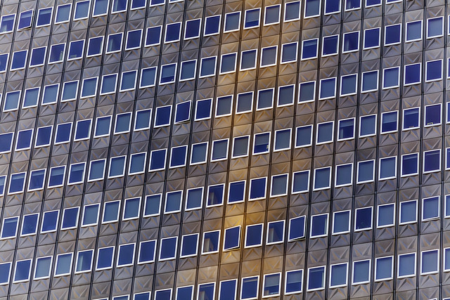 Windows In Metal Facade