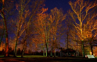 Oak Grove at Midnight | by Stephen Little