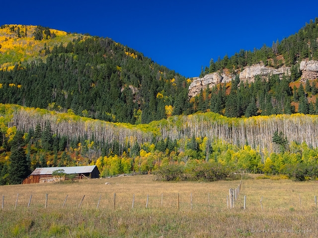 Colorado Autumn Barn