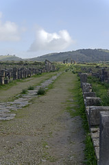 Site archéologique de Volubilis