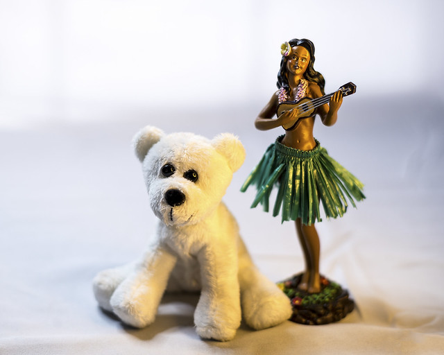 Hula girl and polar bear