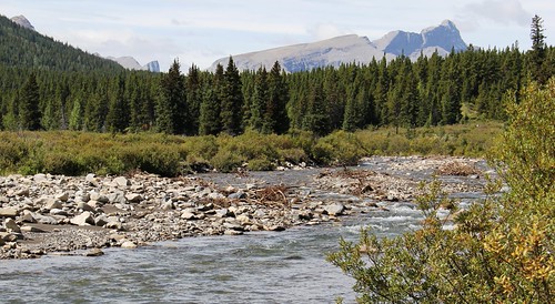 Whitehorse Creek PRA