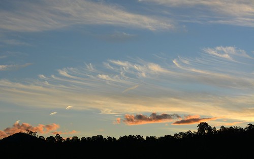sunset sky silhouette dusk horizon australia nsw sunsetclouds cirrus northernrivers cirrusuncinus richmondvalley gradyscreek