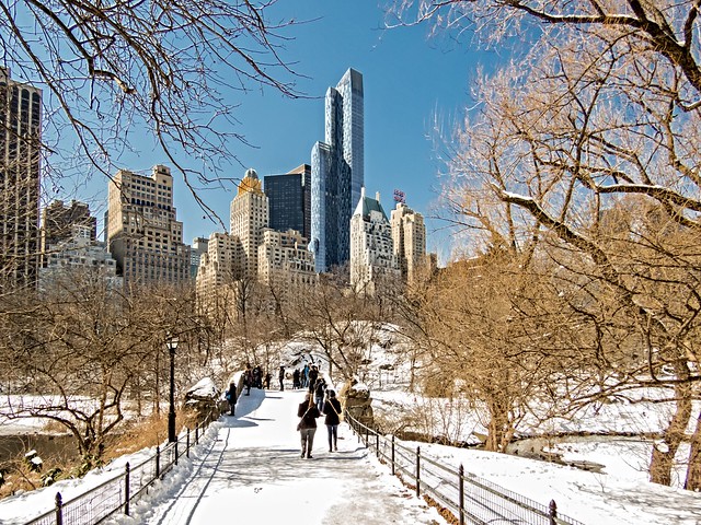 A beautiful Winter day in Central Park