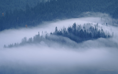 autumn trees mountain fog clouds forest landscape nikon foggy noflash romania nikkor belis d700 80400mmf4556g județulcluj