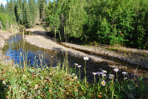 Ware Creek PRA