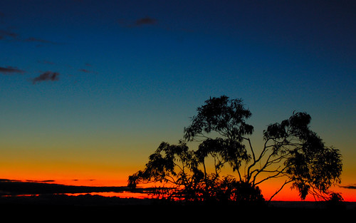 sky colour tree silhouette night d50 dark saturation 1855mmf3556g berowra