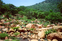 Witwatersrand National Botanical Gardens