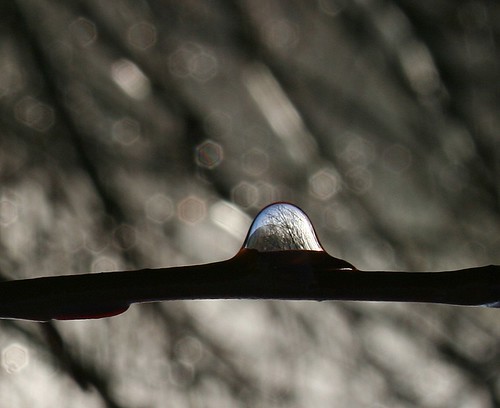 reversed | by go wild - NZ outside