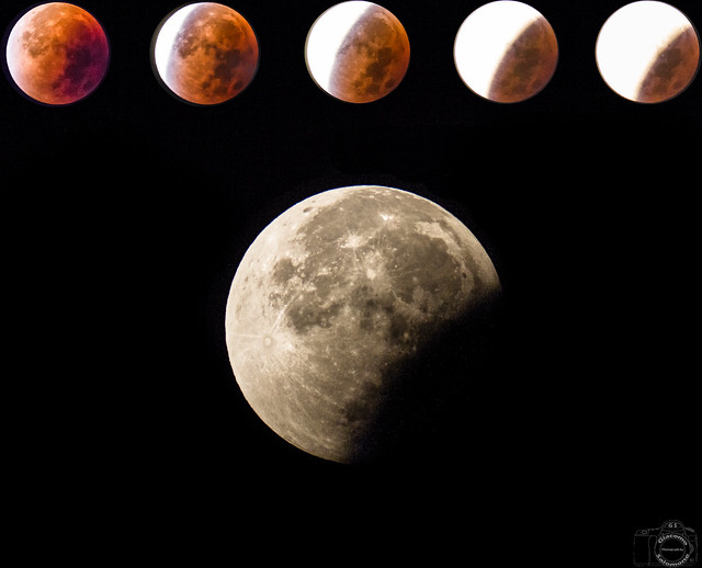 Eclissi di Luna i mosaico..
