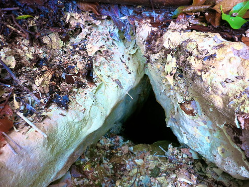 Fumarole encrusted with sulfur at the exit | by tranquilometro