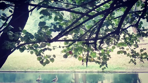 upload | by Wagner Lima