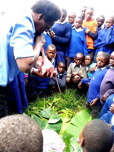 Pupils at Munyaka Primary School, Kenya