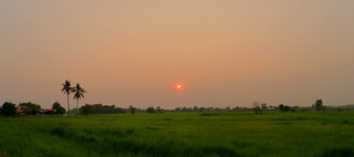 'Tonight's sunset...'... 17/3/15..  Kalasin,  Thailand...  8,000 views!  .. Thank you Explore!