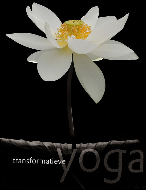 International Portfolio - Lotus Flower -  Netherlands - Yoga Book Cover - Transformative Yoga