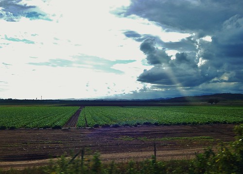 puerto rico agriculture diaz juana