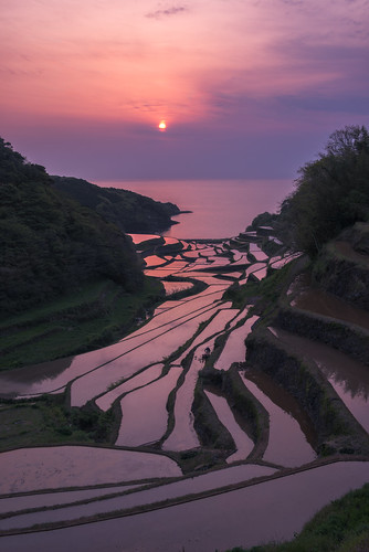 sunset japan riceterraces kyushu sagaken higashimatsuuragun