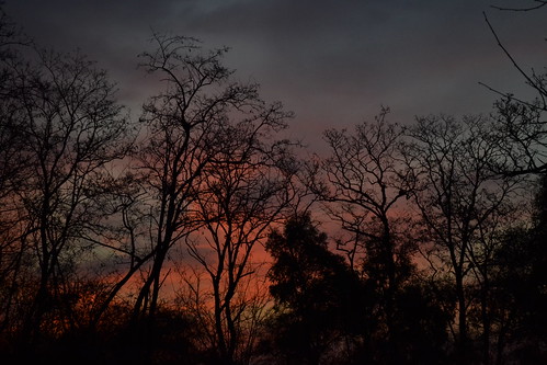 luz sol argentina atardecer árboles natural cielo contraste lobos anochecer caída laschacras