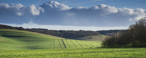sonya850 minolta minolta100200mm wiltshire wylyevalley landscape lines clouds crops fields explored