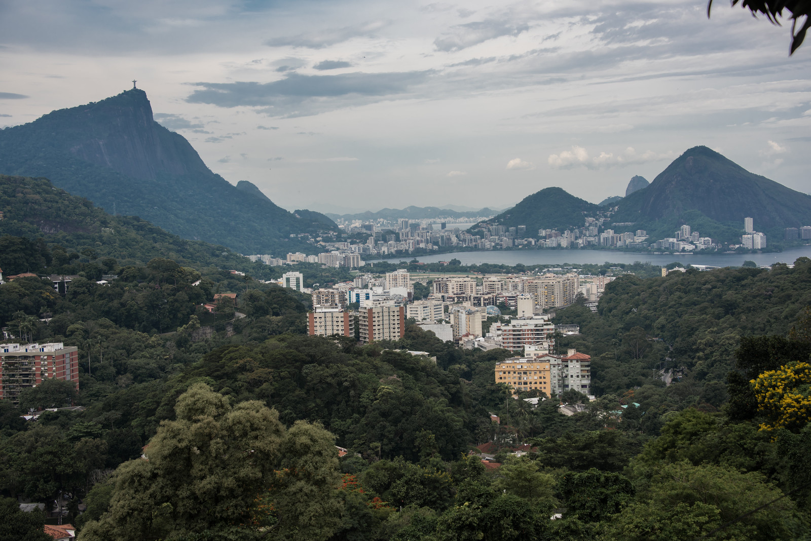 Lagoa Rodrigo de Freitas from La Rocinha