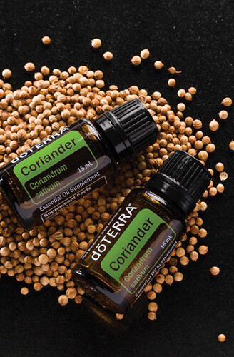 CORIANDER | by gōSHARE