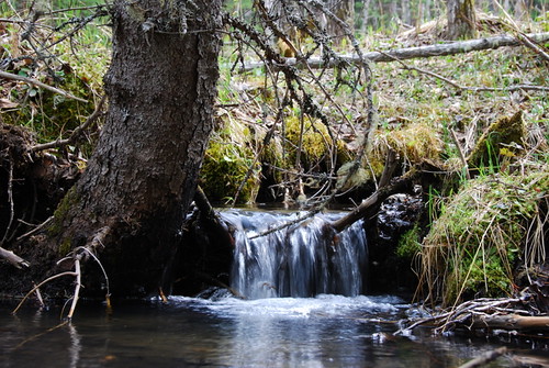 Elbow River PRA