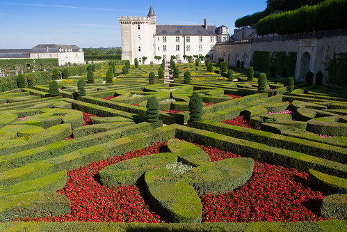 Les jardins de Villandry by StephanExposE, jardin garden villandry chateau castle loire paysdeloire france canon 600d 1635mm 1635mmf28liiusm na