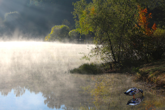 Fog in the lake (On Explore 10/21/2015)