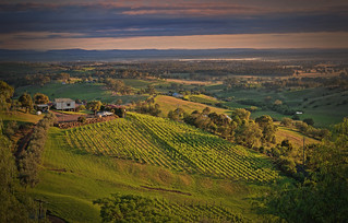 Hunter Valley winery