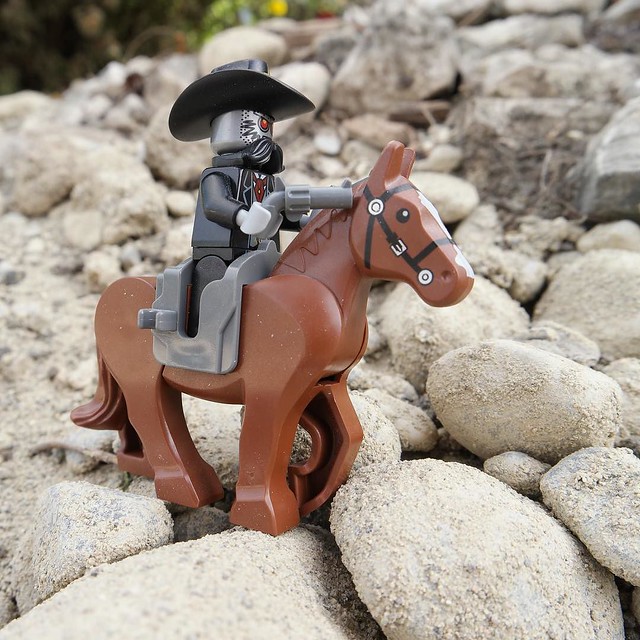 Cowboy in The nature #pokipsie365