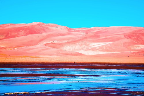Sand dunes | by gangster-ish....
