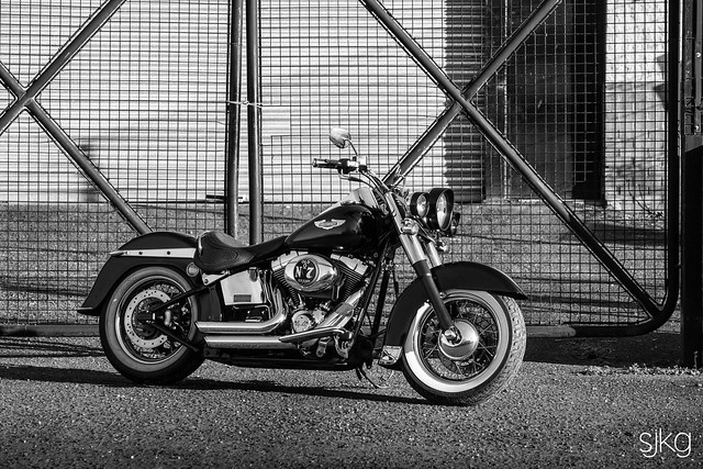 Harley-Davidson-8
