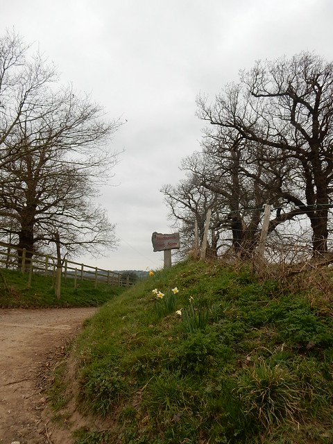 Stodmarsh Court Farm - sign and daffs Sturry Circular