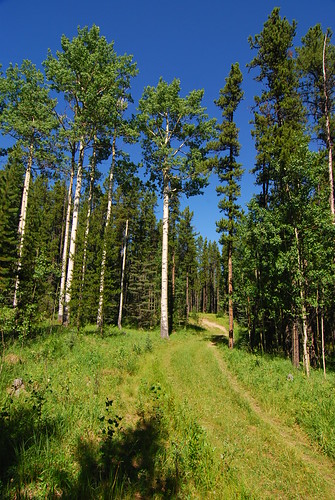 West Bragg Creek PRA