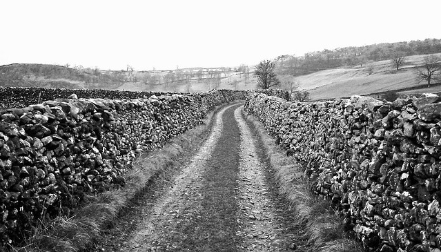 Country Lane, Langcliffe in Ribblesdale.