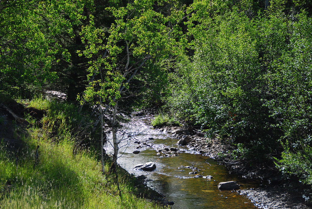 Ware Creek PRA