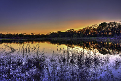 sunset marsh wetland