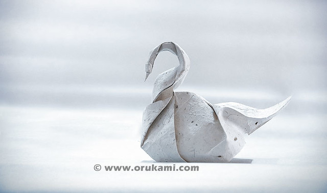 Daniel Naranjo Origami Swan