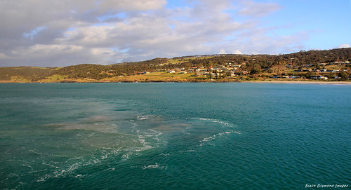 ferry australia southaustralia kangarooisland penneshaw hogbay sealinkferry kangarooislandferry sealinkkangarooislandferry