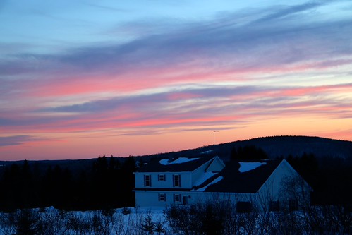 IMG_8537 by BrianMKA,