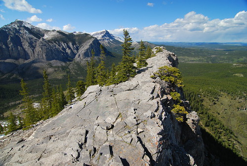 Bow Valley Wildland Provincial Park