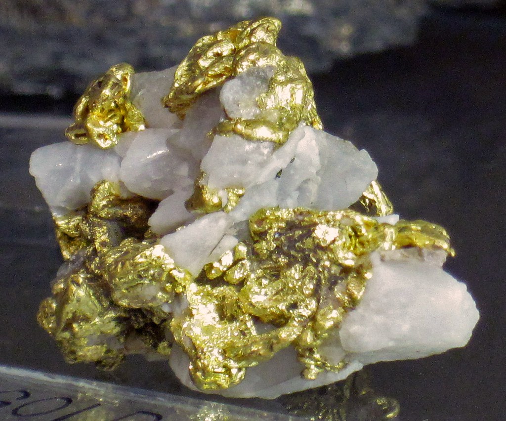 Utah Gold Gold (Saw Tooth Mountains, near Salt Lake City, Utah, USA)… | Flickr