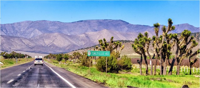 Carretera Saltillo a Matehuala - Coahuila México 150330 142528 04799 HX50V
