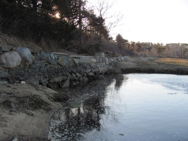 Pre-culvert removal at Muddy Creek wetland restoration project site
