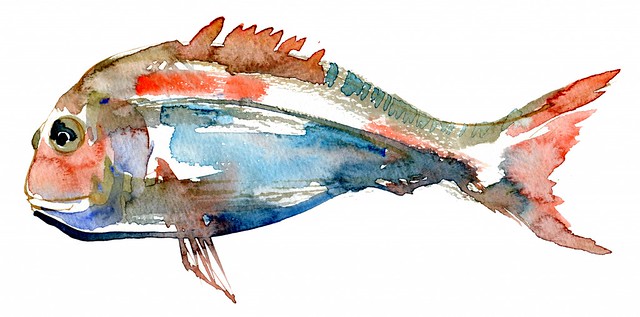 Fish watercolor by Frits Ahlefeldt