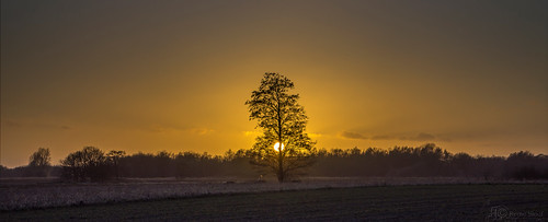 sunset nature netherlands landscape sonya7r remosloof carlzeiss2470mmf4