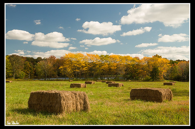 Hay Field in Autumn